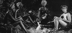 THE BLACK BUNCH